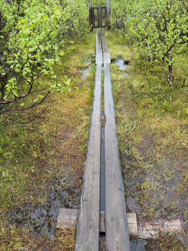 Summer hiking in Are, Sweden. Image © PlanetSKI